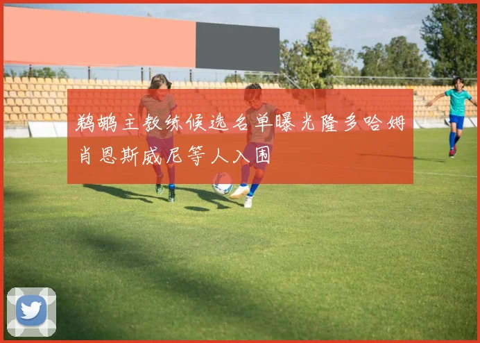 鹈鹕主教练候选名单曝光隆多哈姆肖恩斯威尼等人入围